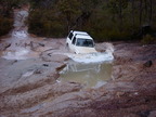 Stuart_bogging_3.jpg