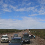 IMG_6179.jpg