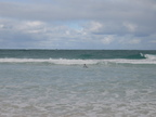 IMG_6240.jpg
