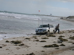 IMG_6241.jpg