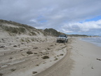 IMG_6253.jpg