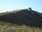 DSC01986.JPG