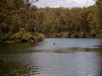 P0005689.JPG