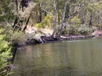 P0005690.JPG