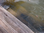 P0005693.JPG