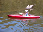 P0005695.JPG