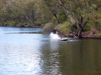 P0005699.JPG