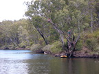 P0005700.JPG