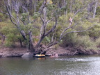 P0005704.JPG