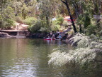 P0005705.JPG