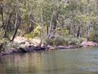 P0005712.JPG