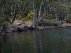 P0005713.JPG