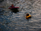 P0005722.JPG