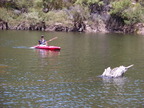 P0005725.JPG