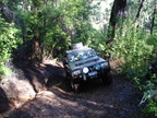DSC02097.JPG