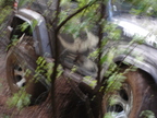 DSC02120.JPG