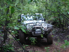 DSC02129.JPG