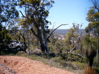 P0005384.JPG