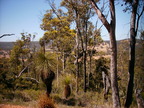 P0005385.JPG