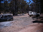 P0005443.JPG