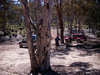 P0005471.JPG