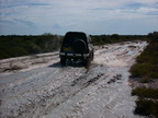 P0006260.JPG