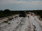 P0006263.JPG