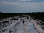 P0006265.JPG