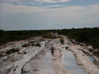 P0006266.JPG