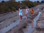 P0006294.JPG