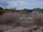 P0006299.JPG