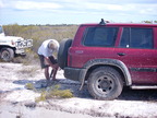 P0006310.JPG