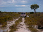 P0006339.JPG