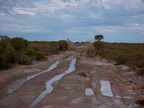 P0006343.JPG