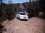 Suzuki_1.jpg