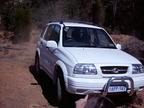 Suzuki_2.jpg