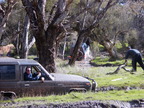 P0007020.JPG