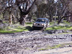 P0007031.JPG