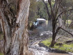 P0007061.JPG