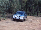 DSC00281.JPG