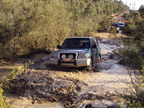 DSC00294.JPG