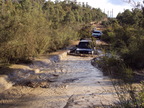 DSC00295.JPG