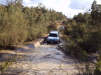 DSC00296.JPG