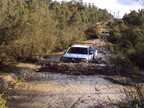 DSC00297.JPG
