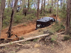DSC00304.JPG