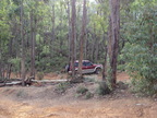 DSC00310.JPG