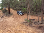 DSC00311.JPG
