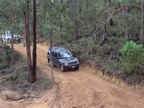 DSC00312.JPG